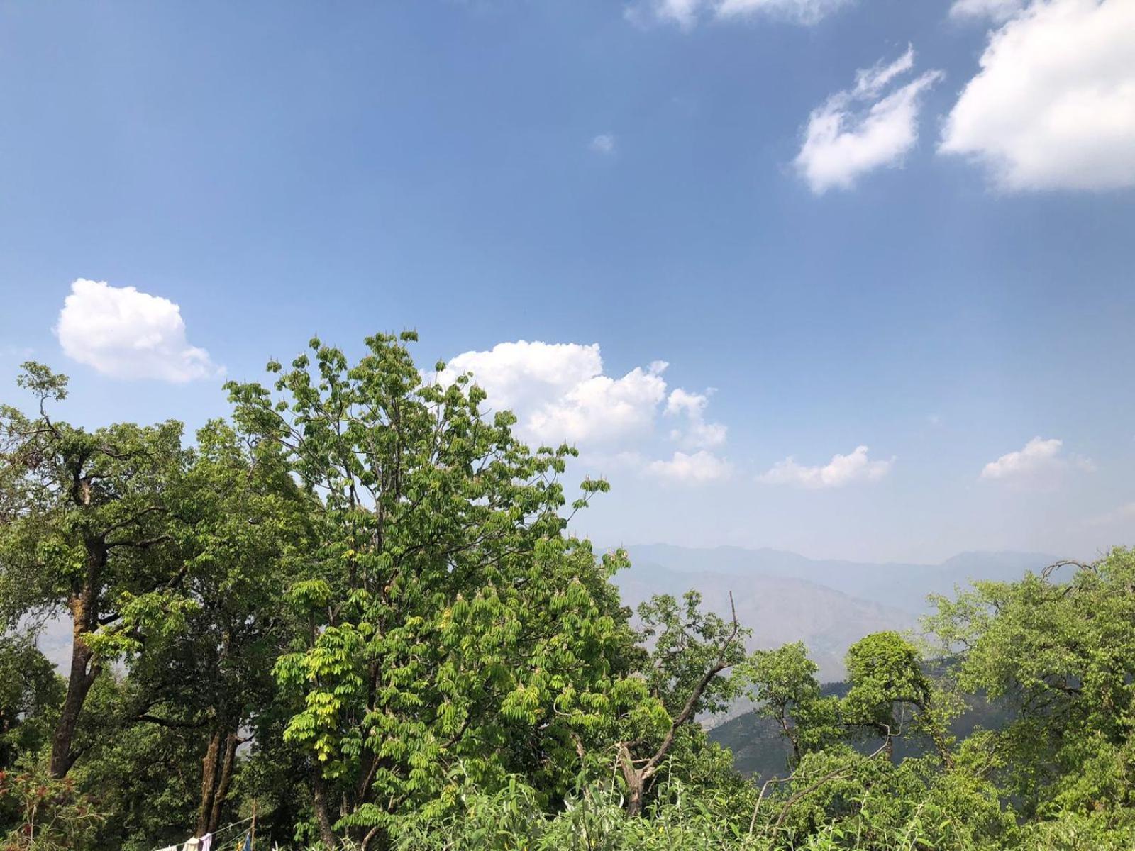 Jindal Home Stay Mussoorie Exteriör bild