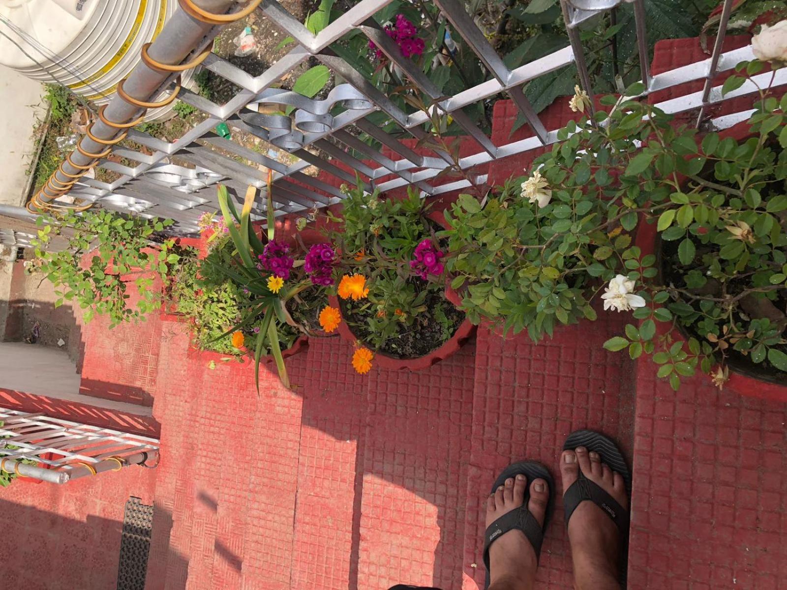 Jindal Home Stay Mussoorie Exteriör bild